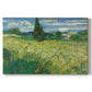 Canvas art print portraying a wheat field with tall cypress tree rising against vivid sky, set against a white background