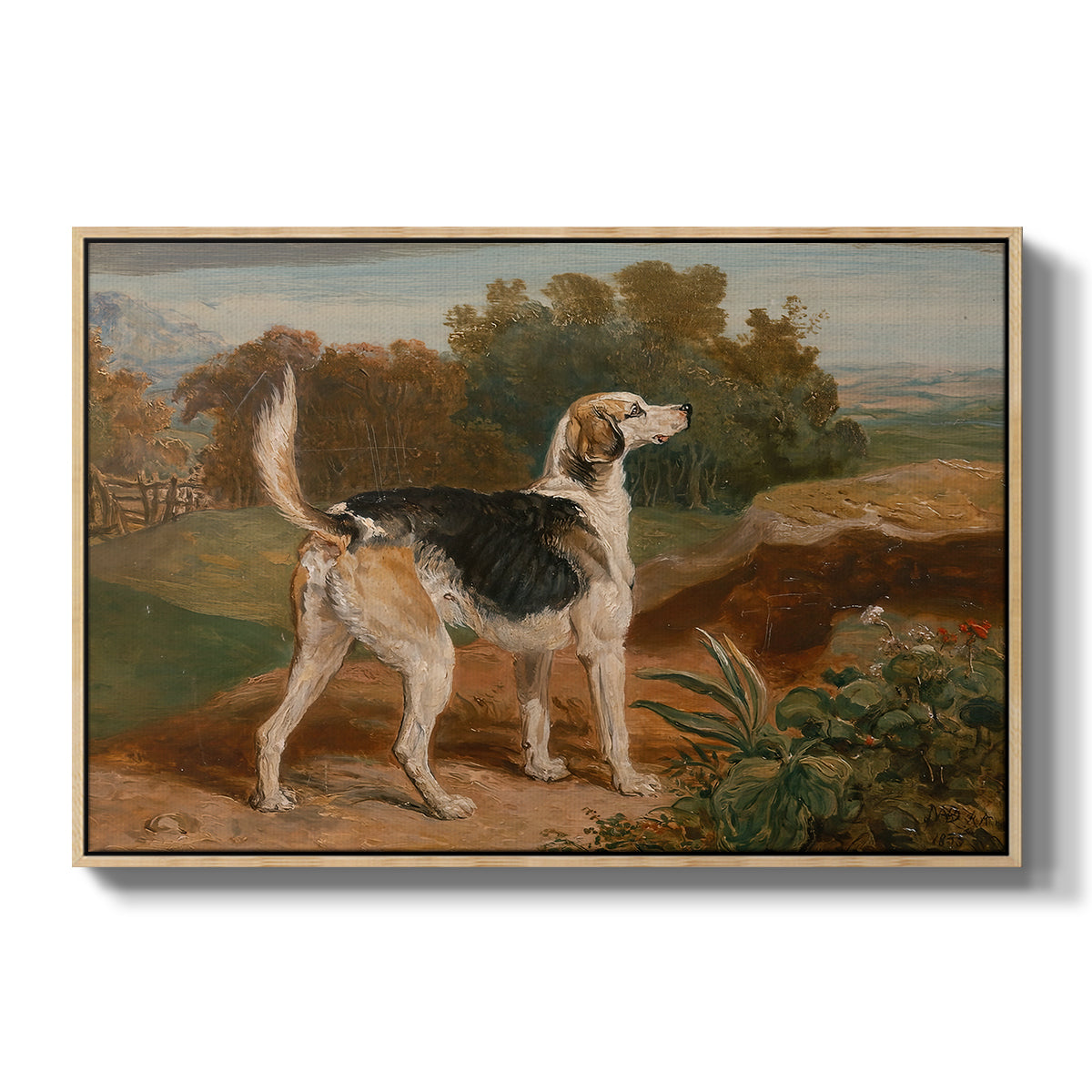 Ravager, One of the Lambton Hounds, 1835 - Floater Framed Canvas Print