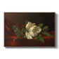 Magnolia on Red Velvet, c. 1885-1890 - Floater Framed Canvas Print