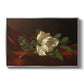 Magnolia on Red Velvet, c. 1885-1890 - Floater Framed Canvas Print