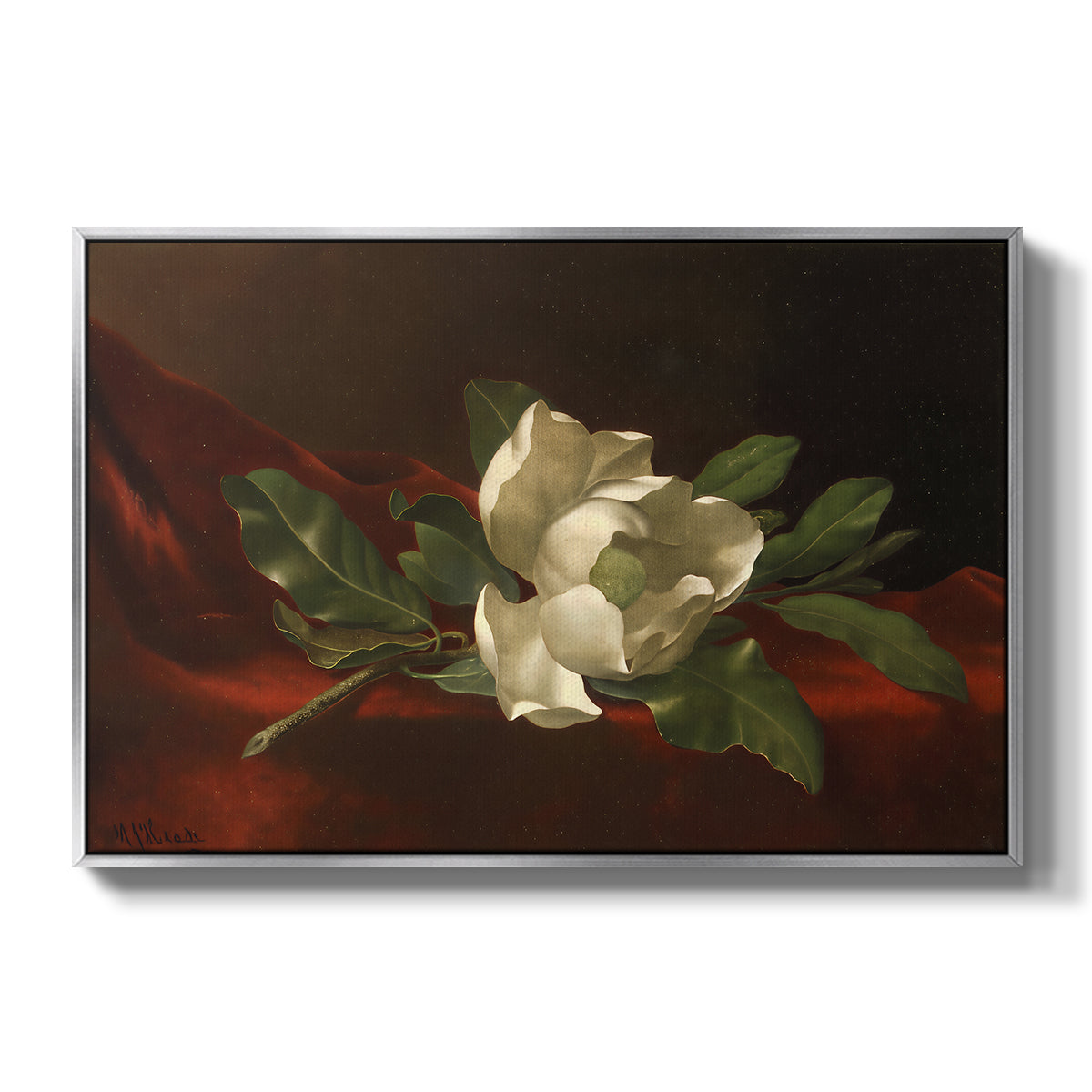 Magnolia on Red Velvet, c. 1885-1890 - Floater Framed Canvas Print