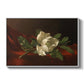 Magnolia on Red Velvet, c. 1885-1890 - Floater Framed Canvas Print