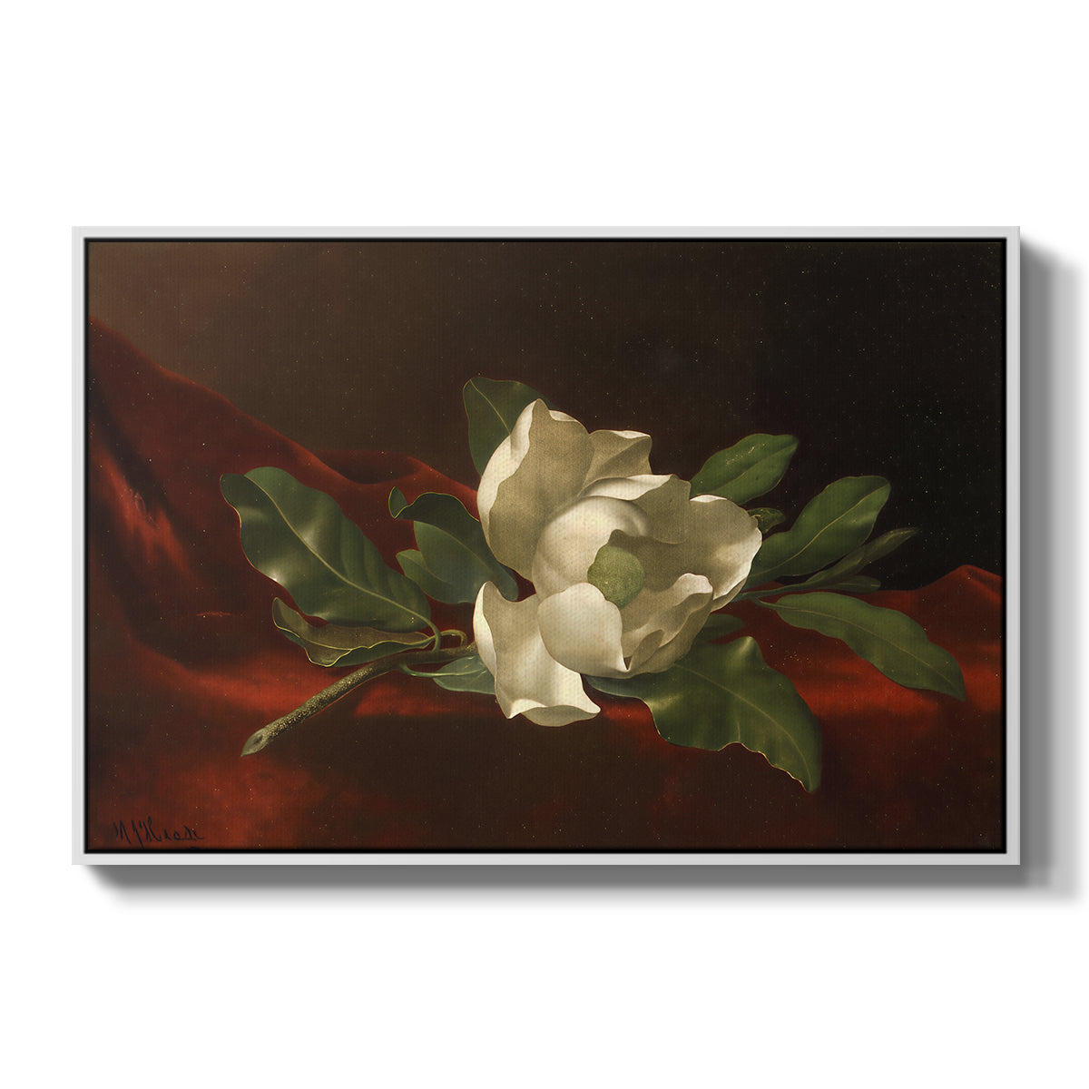 Magnolia on Red Velvet, c. 1885-1890 - Floater Framed Canvas Print