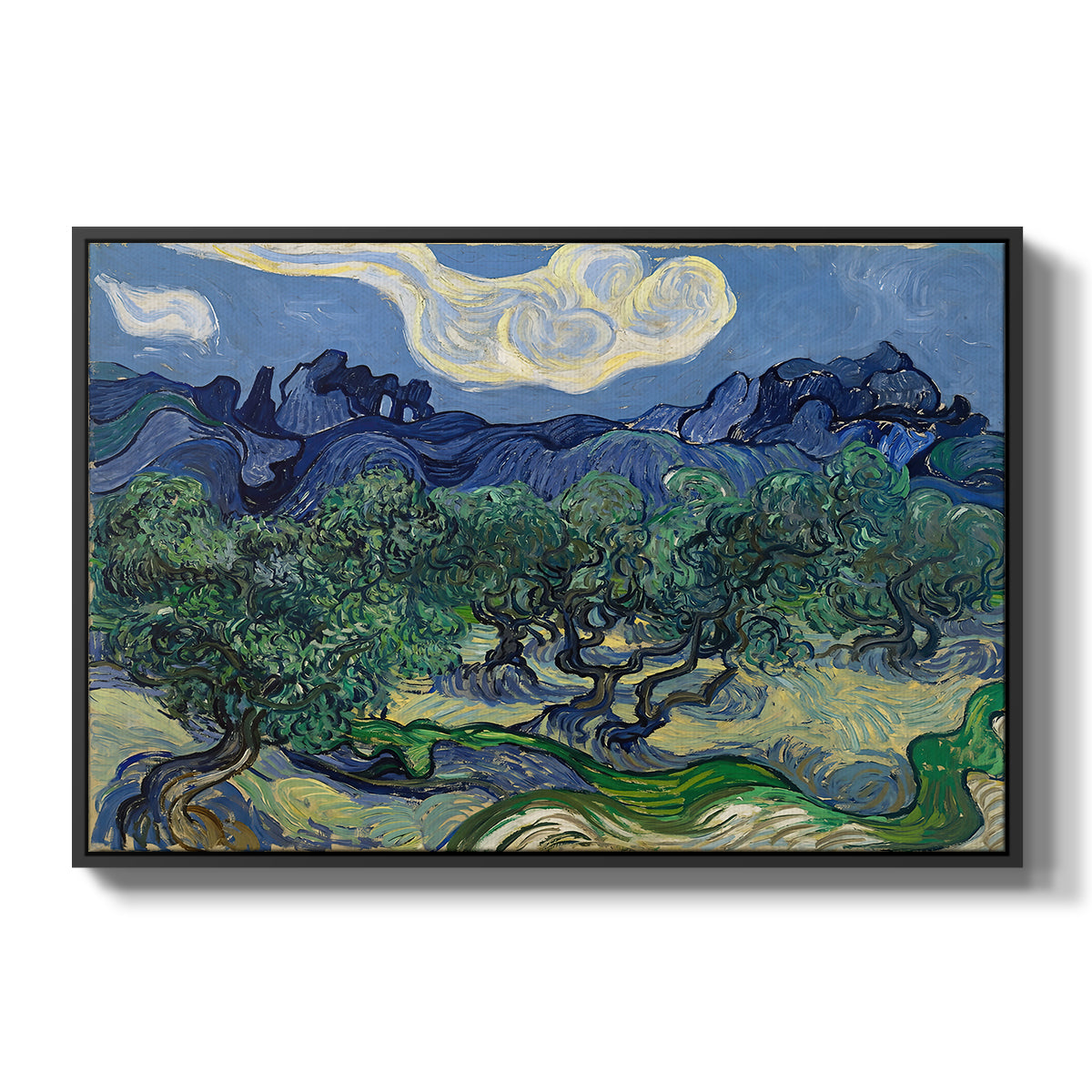 Olive Trees with the Alpilles in the Background, 1889 - Floater Framed Canvas Print