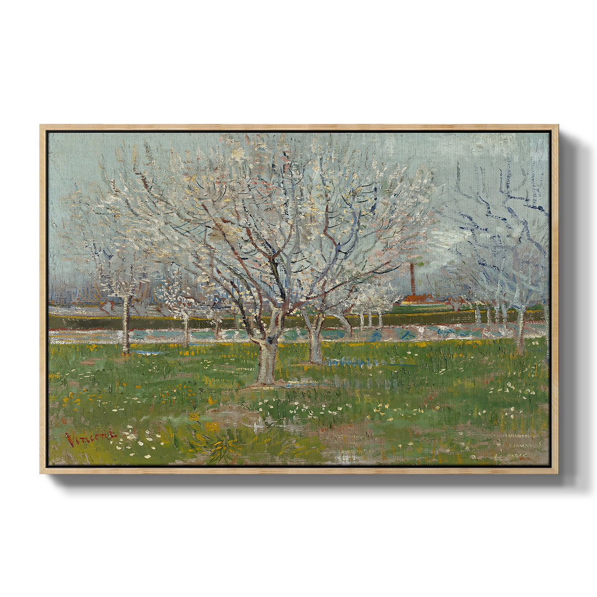 Orchard in Blossom (Plum Trees), 1888 - Floater Framed Canvas Print