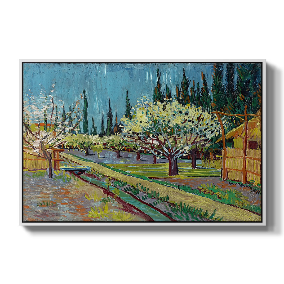 Orchard in Blossom, Bordered by Cypresses, 1888 - Floater Framed Canvas Print