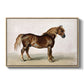 A Cart-Horse - Floater Framed Canvas Print