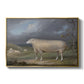 A Border Leicester Ewe, c. 1795-1800 - Floater Framed Canvas Print