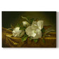Canvas art print portraying magnolia blossoms arranged on gold velvet surface, set against a white background