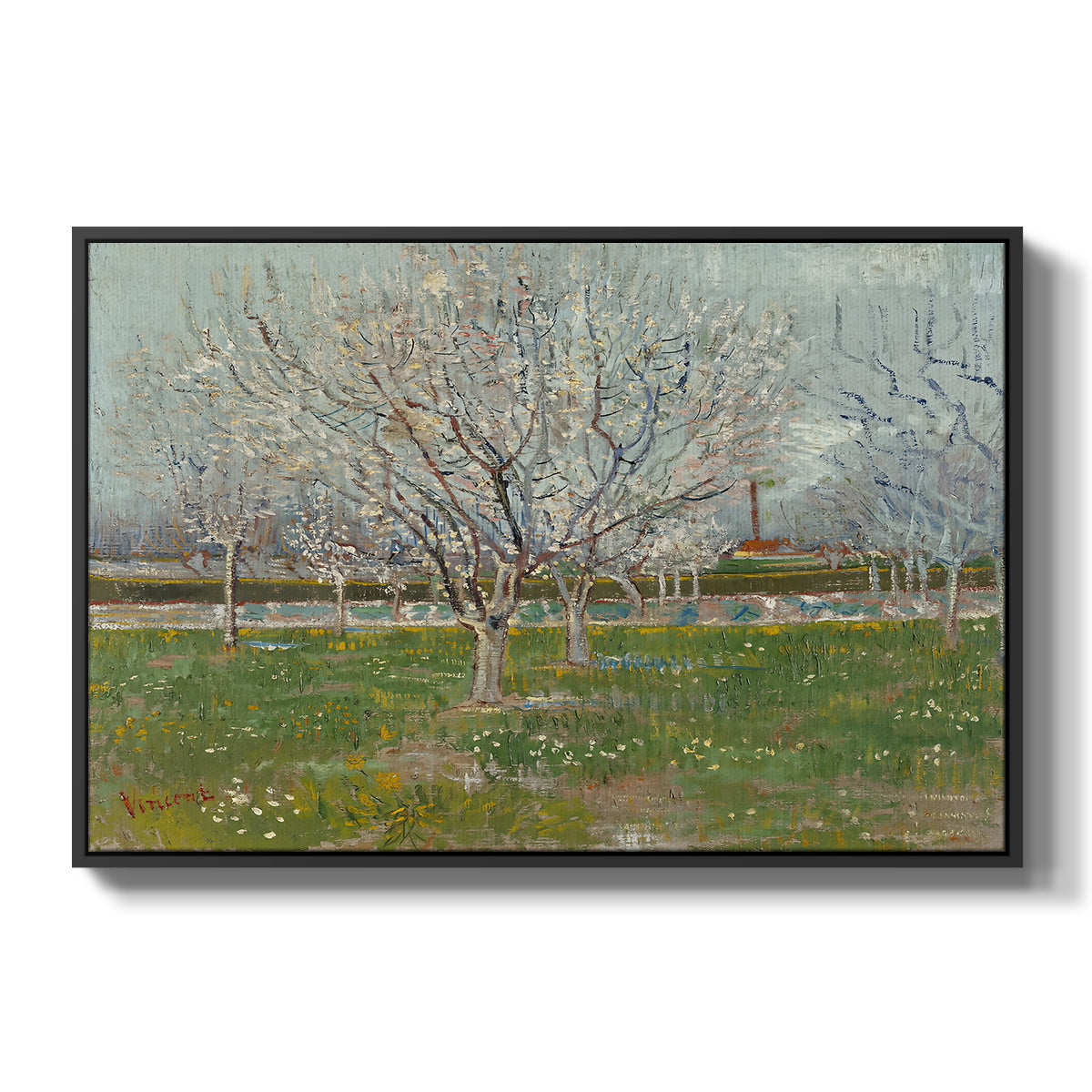 Orchard in Blossom (Plum Trees), 1888 - Floater Framed Canvas Print
