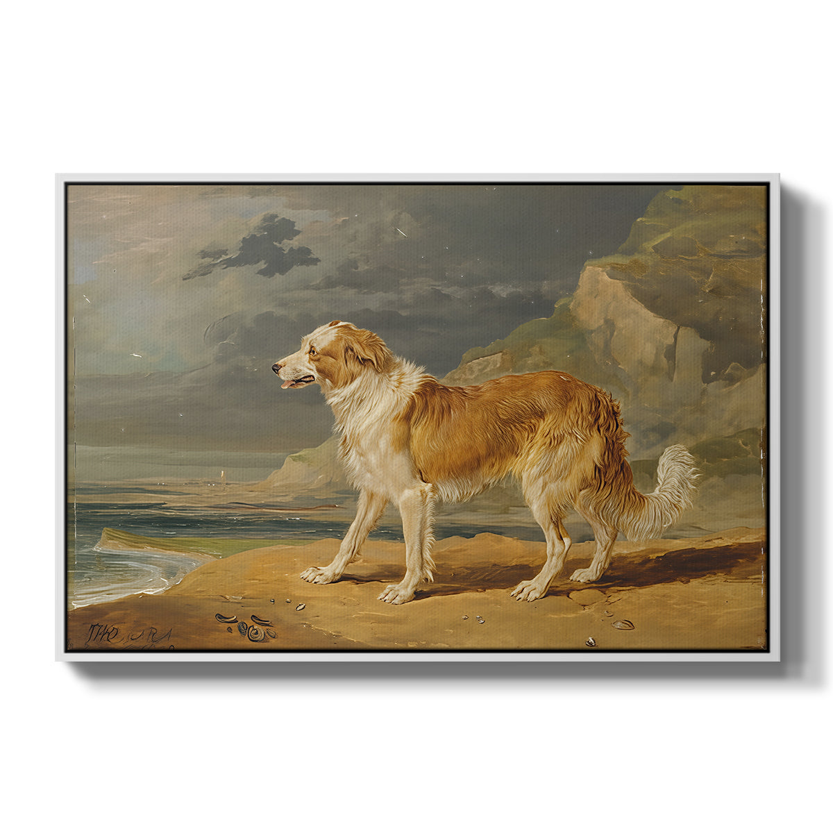 Rough-Coated Collie, 1809 - Floater Framed Canvas Print