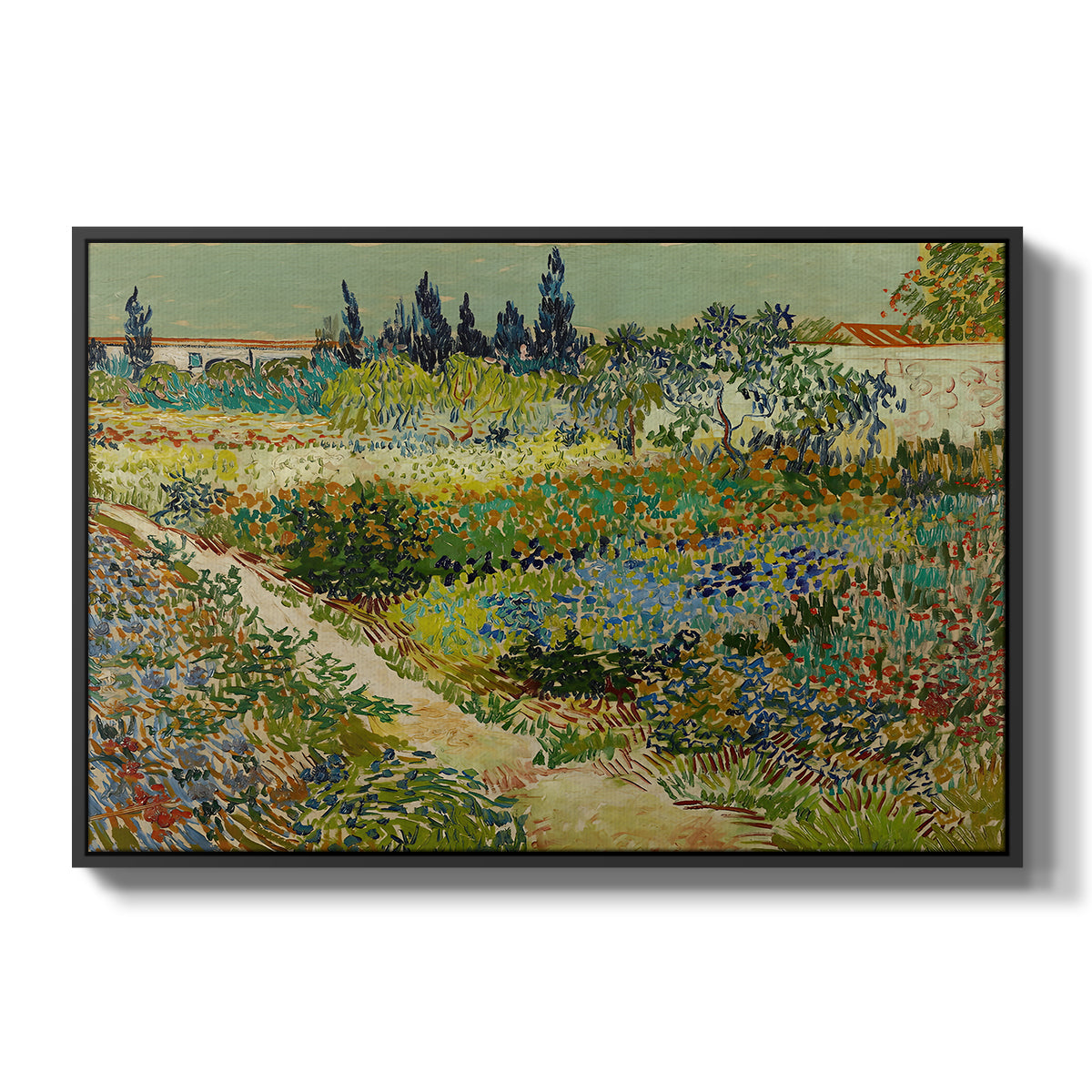 Garden at Arles, 1888 - Floater Framed Canvas Print