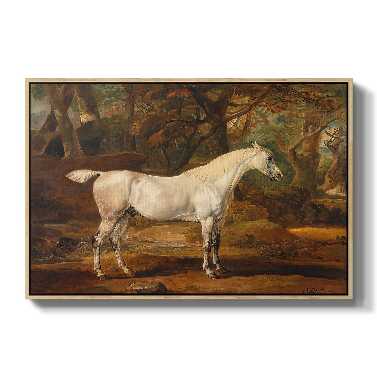 Grey Arabian Stallion, Property of Sir Watkin Williams-Wynn, c. 1817 - Floater Framed Canvas Print