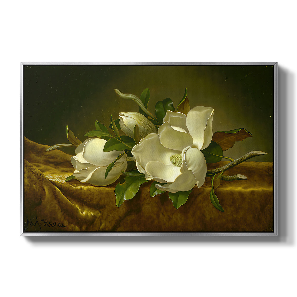 Magnolias on Gold Velvet Cloth, c. 1888-1890 - Floater Framed Canvas Print