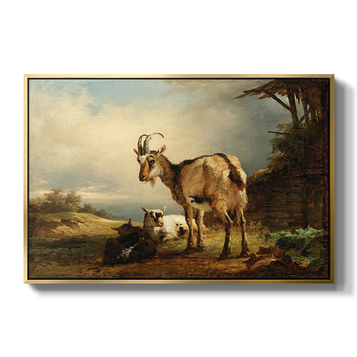 A Goat with Two Kids - Floater Framed Canvas Print