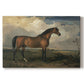Canvas art print portraying a horse standing prominently in open landscape with strong posture, set against a white background