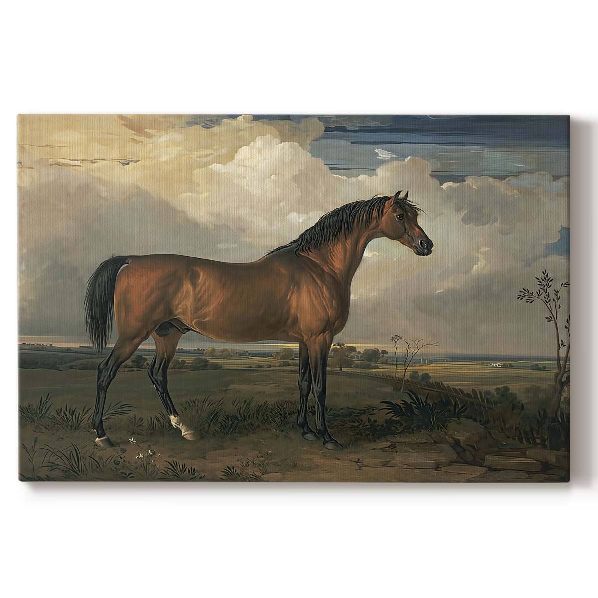 Canvas art print portraying a horse standing prominently in open landscape with strong posture, set against a white background