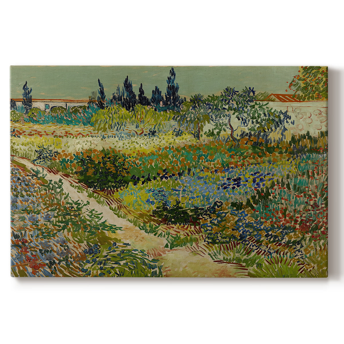 Canvas art print portraying a lush garden filled with plants and flowers arranged in bright sunlight, set against a white background