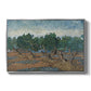 Olive Trees, 1889 - Floater Framed Canvas Print