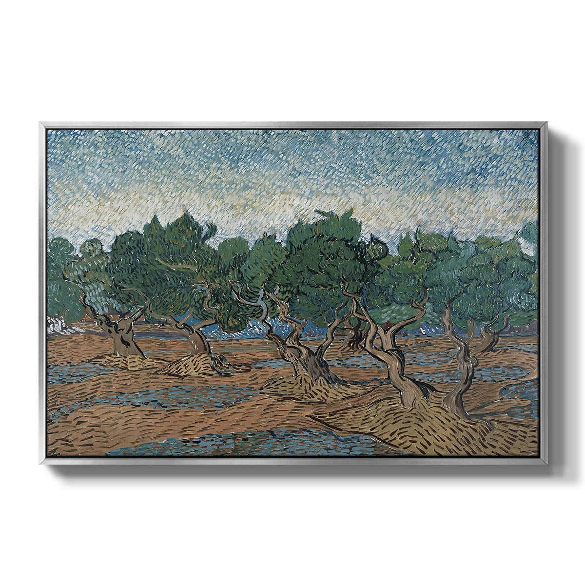 Olive Trees, 1889 - Floater Framed Canvas Print