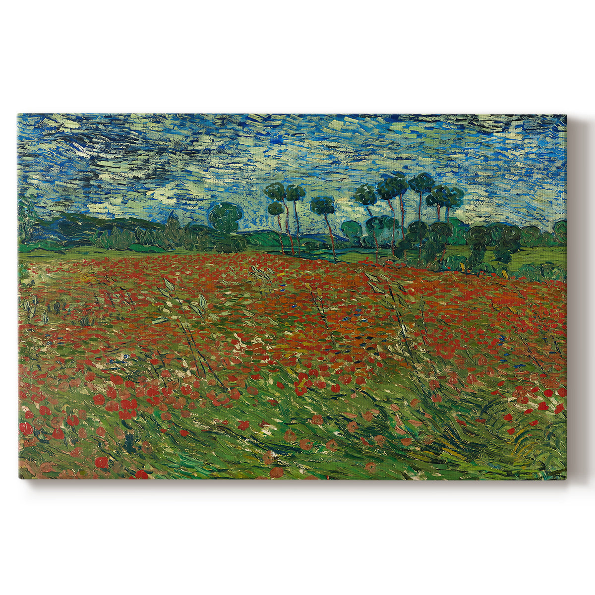 Canvas art print portraying a field dotted with red poppies stretching across green landscape, set against a white background