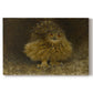 Canvas art print portraying a large owl perched on branch in shadowy natural forest setting, set against a white background