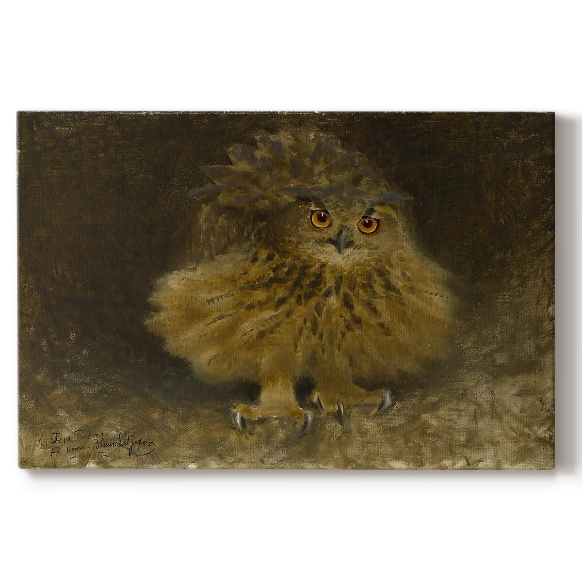 Canvas art print portraying a large owl perched on branch in shadowy natural forest setting, set against a white background