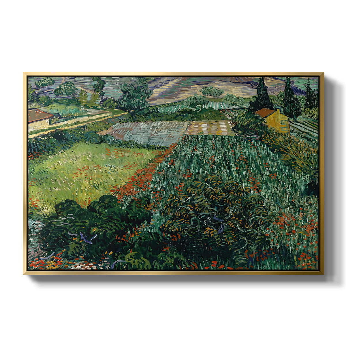 Field with Poppies, Saint-Rémy, 1889 - Floater Framed Canvas Print
