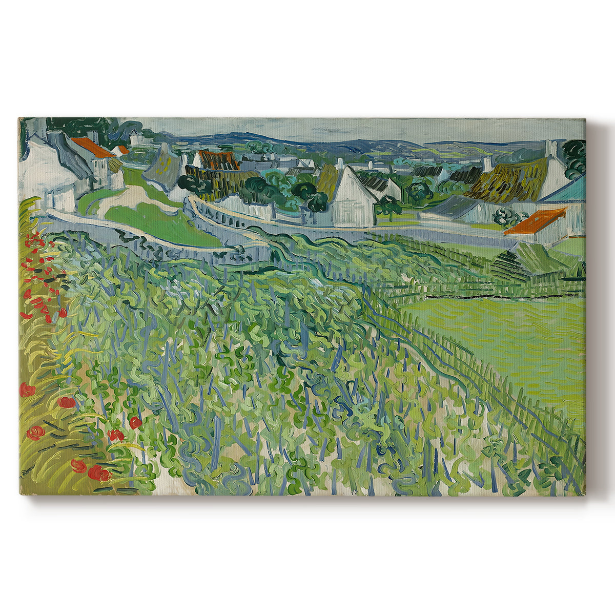 Canvas art print portraying a cultivated vineyard rows stretching across landscape with distant horizon, set against a white background