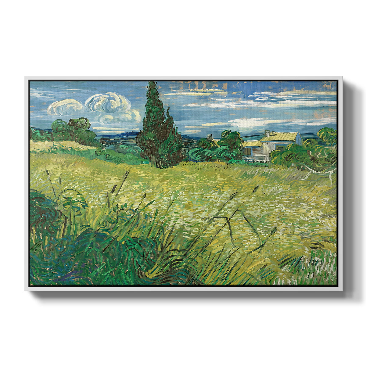 Green Wheat Field with Cypress, 1889 - Floater Framed Canvas Print