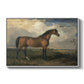 Eagle, A Celebrated Stallion, 1809 - Floater Framed Canvas Print