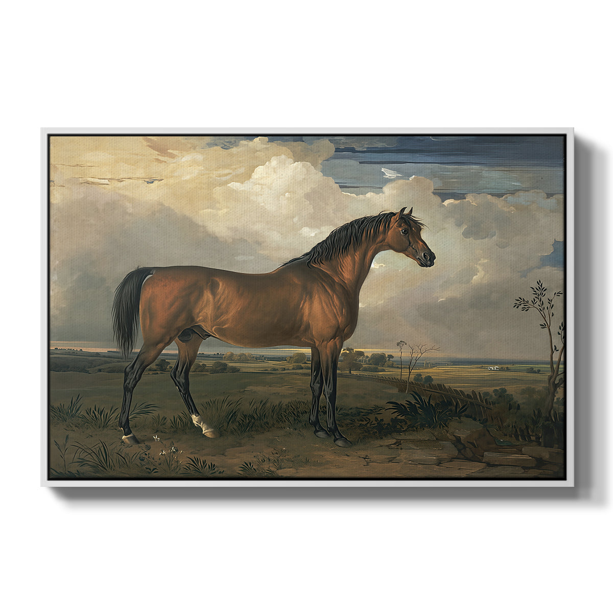 Eagle, A Celebrated Stallion, 1809 - Floater Framed Canvas Print