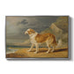 Rough-Coated Collie, 1809 - Floater Framed Canvas Print