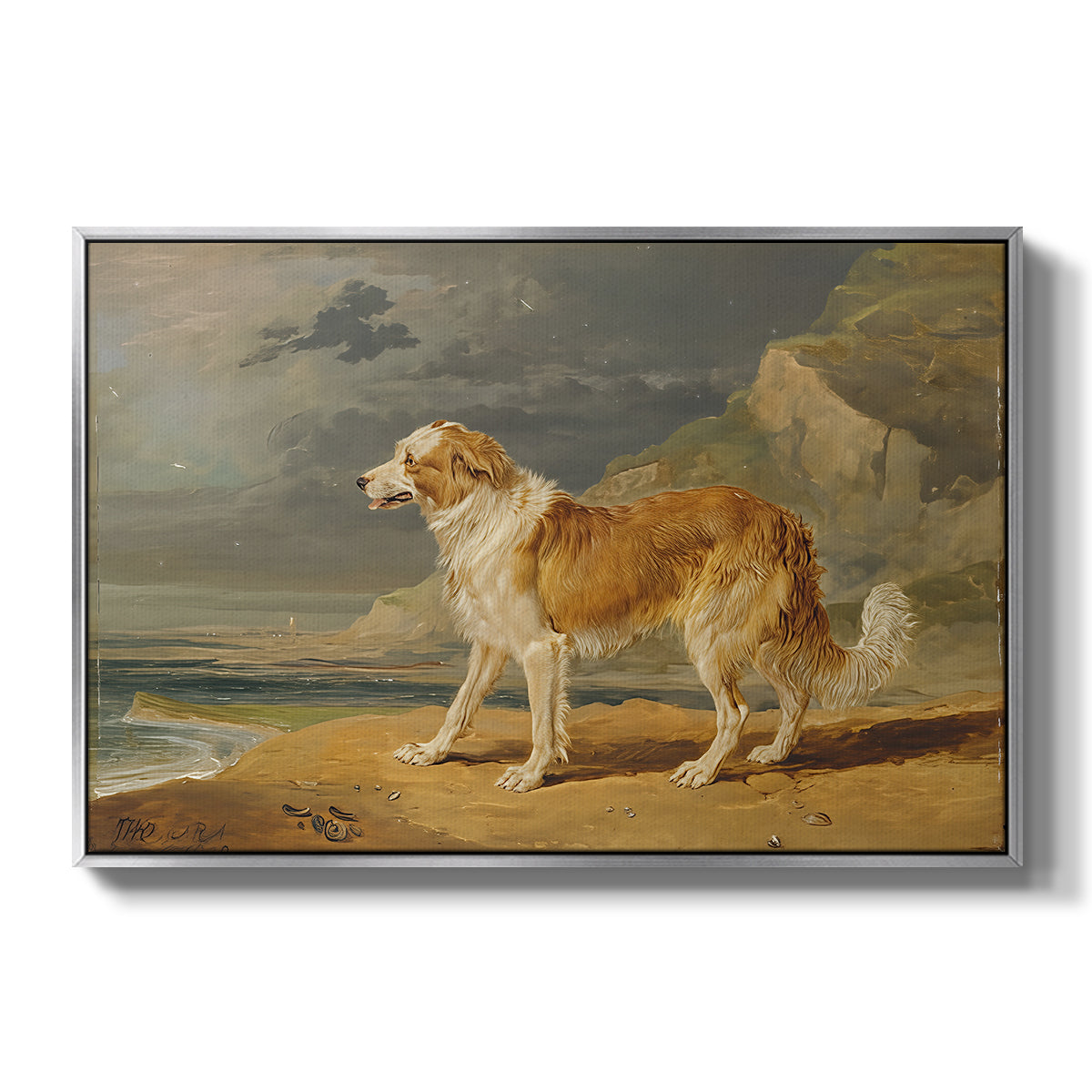 Rough-Coated Collie, 1809 - Floater Framed Canvas Print