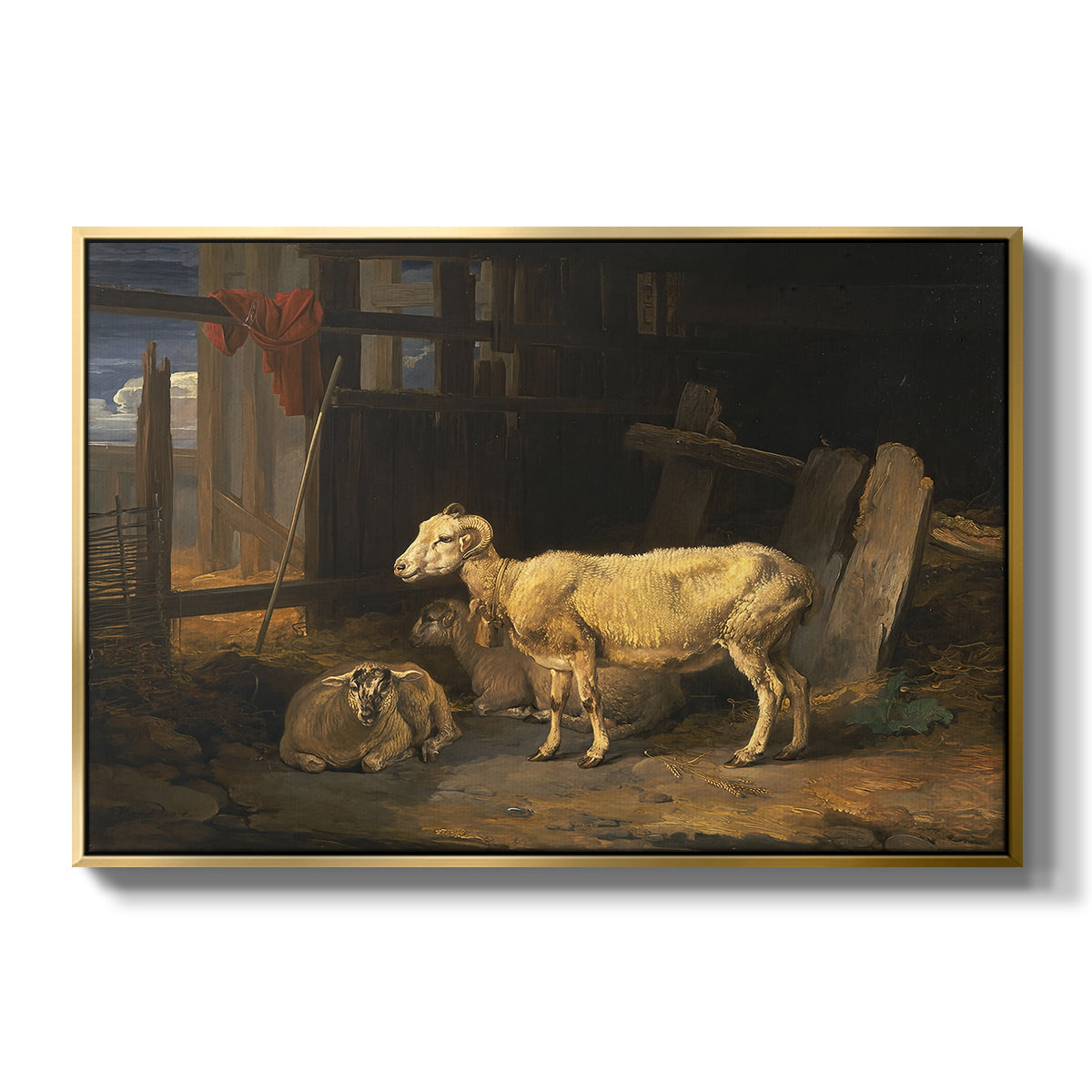 Sheep in a Stable, 1810 - Floater Framed Canvas Print