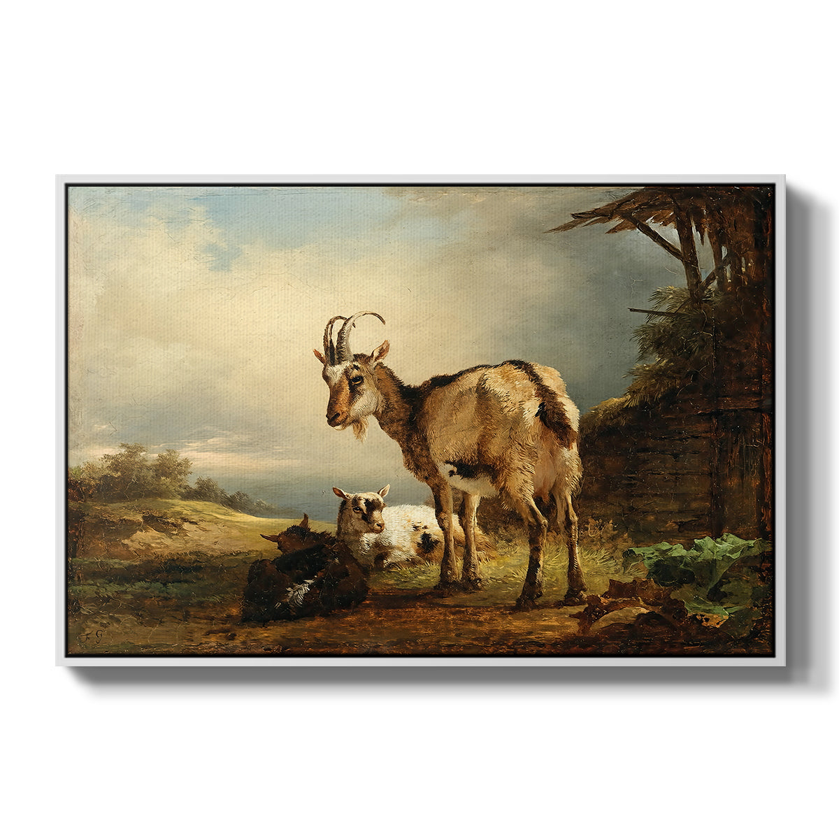 A Goat with Two Kids - Floater Framed Canvas Print