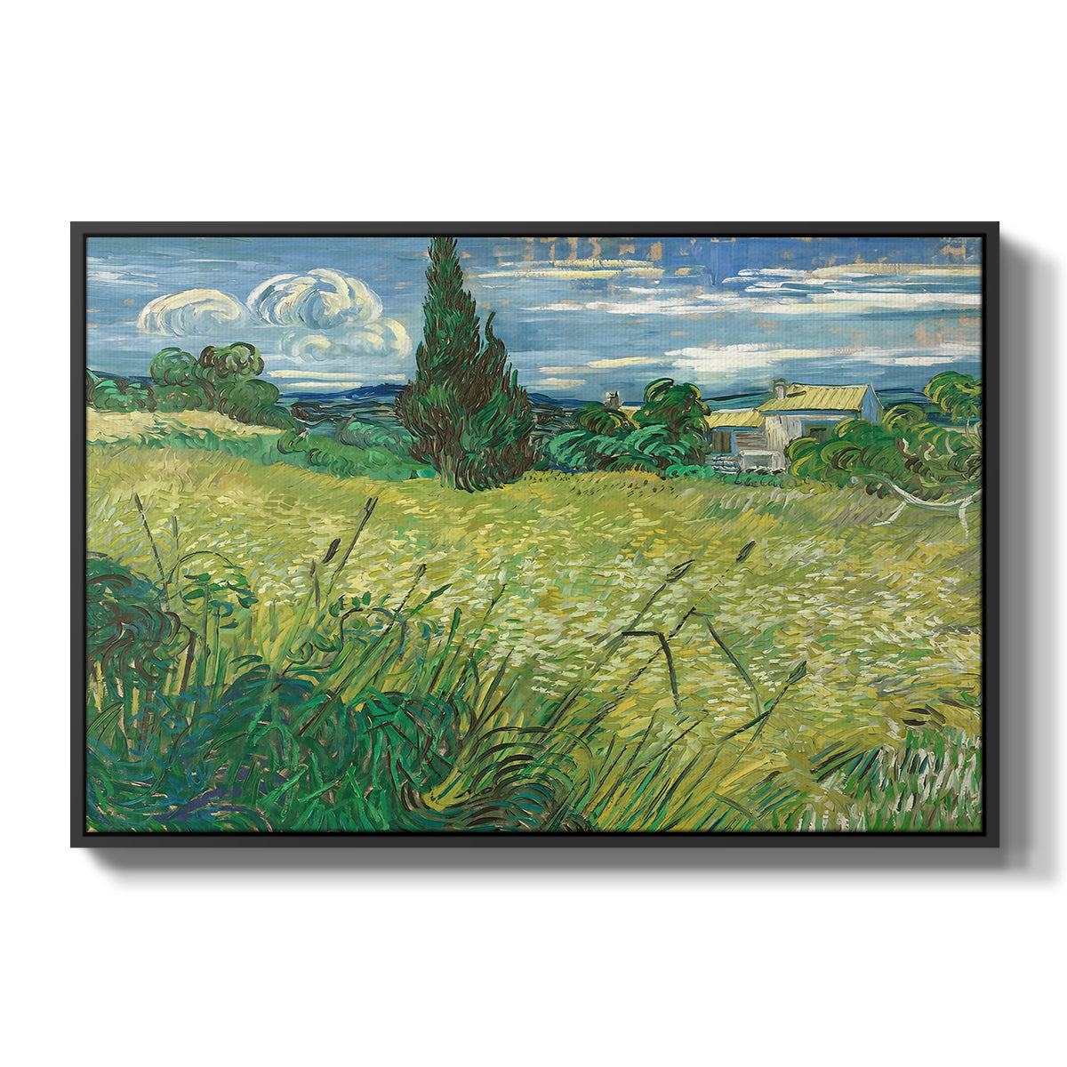 Green Wheat Field with Cypress, 1889 - Floater Framed Canvas Print