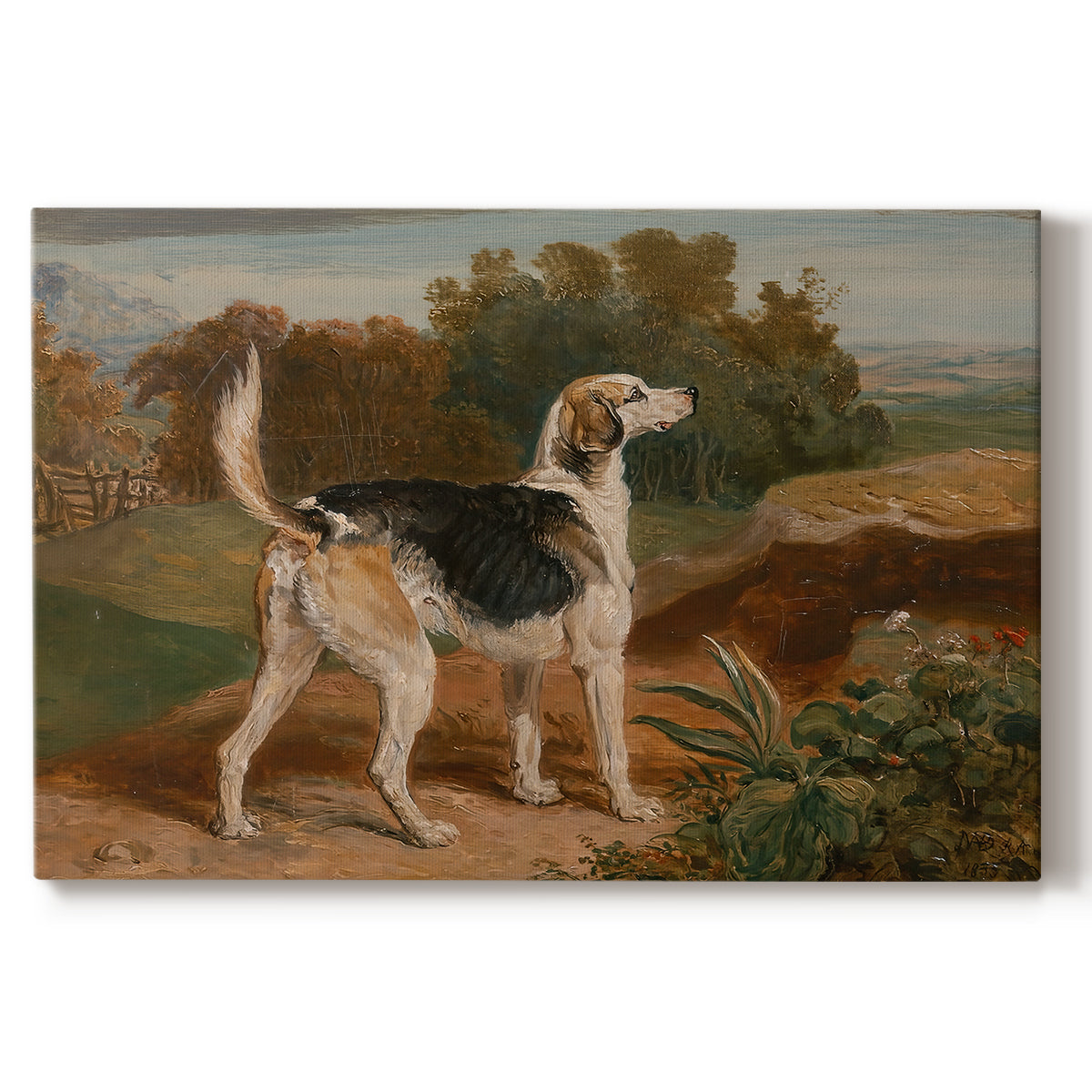 Canvas art print portraying a hunting hound standing in landscape with focused posture, set against a white background