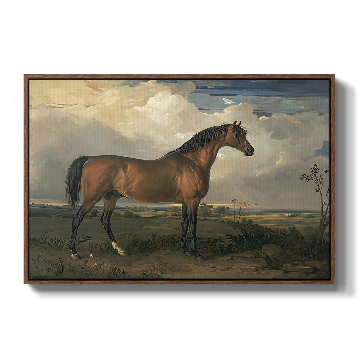 Eagle, A Celebrated Stallion, 1809 - Floater Framed Canvas Print