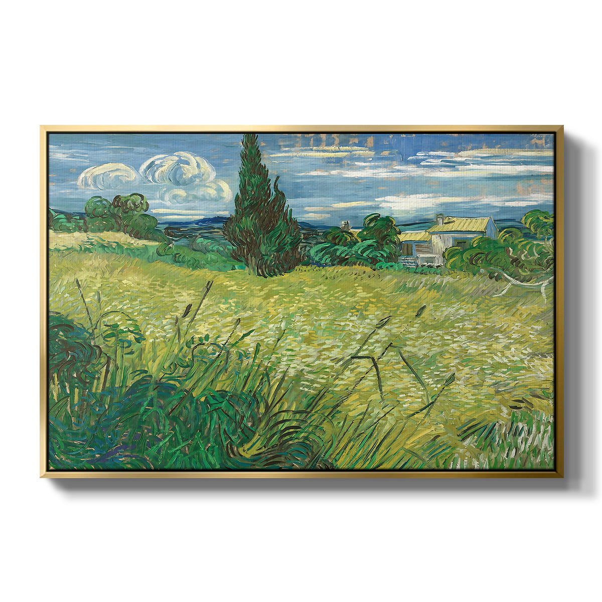 Green Wheat Field with Cypress, 1889 - Floater Framed Canvas Print