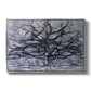 The Gray Tree, 1911 - Floater Framed Canvas Print