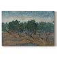 Canvas art print portraying twisting olive trees set within rolling landscape under vibrant sky, set against a white background