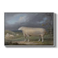 A Border Leicester Ewe, c. 1795-1800 - Floater Framed Canvas Print