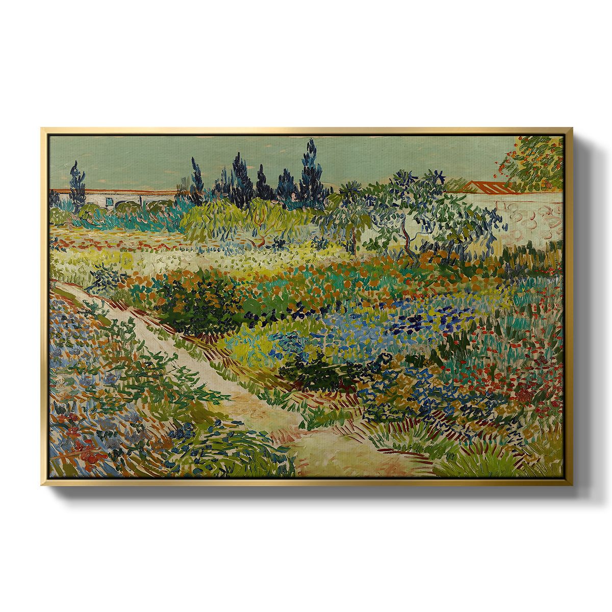 Garden at Arles, 1888 - Floater Framed Canvas Print