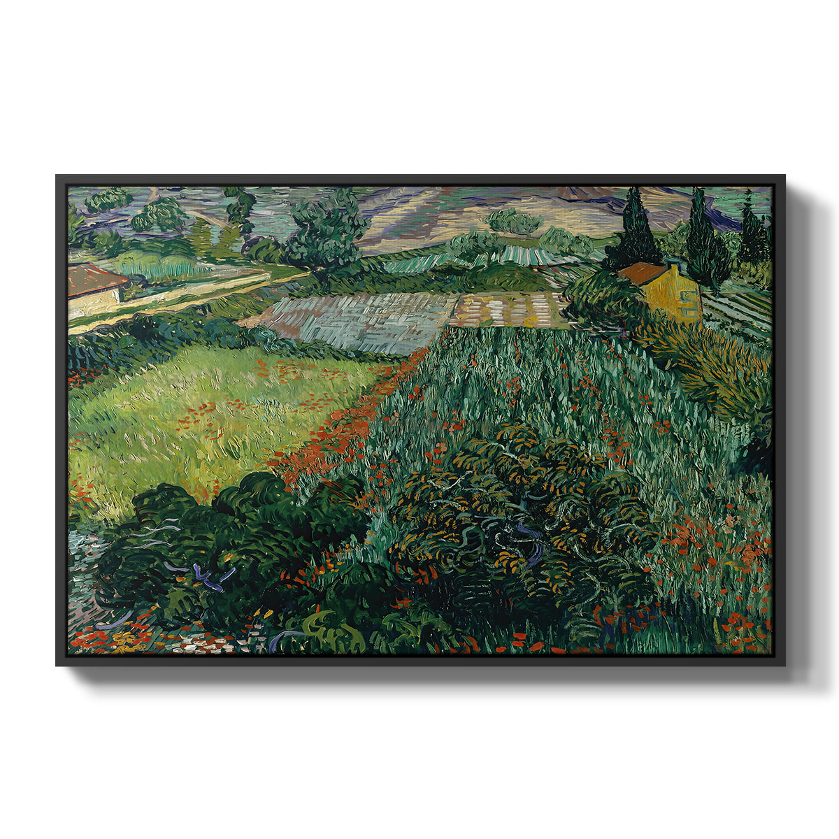 Field with Poppies, Saint-Rémy, 1889 - Floater Framed Canvas Print