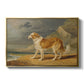 Rough-Coated Collie, 1809 - Floater Framed Canvas Print