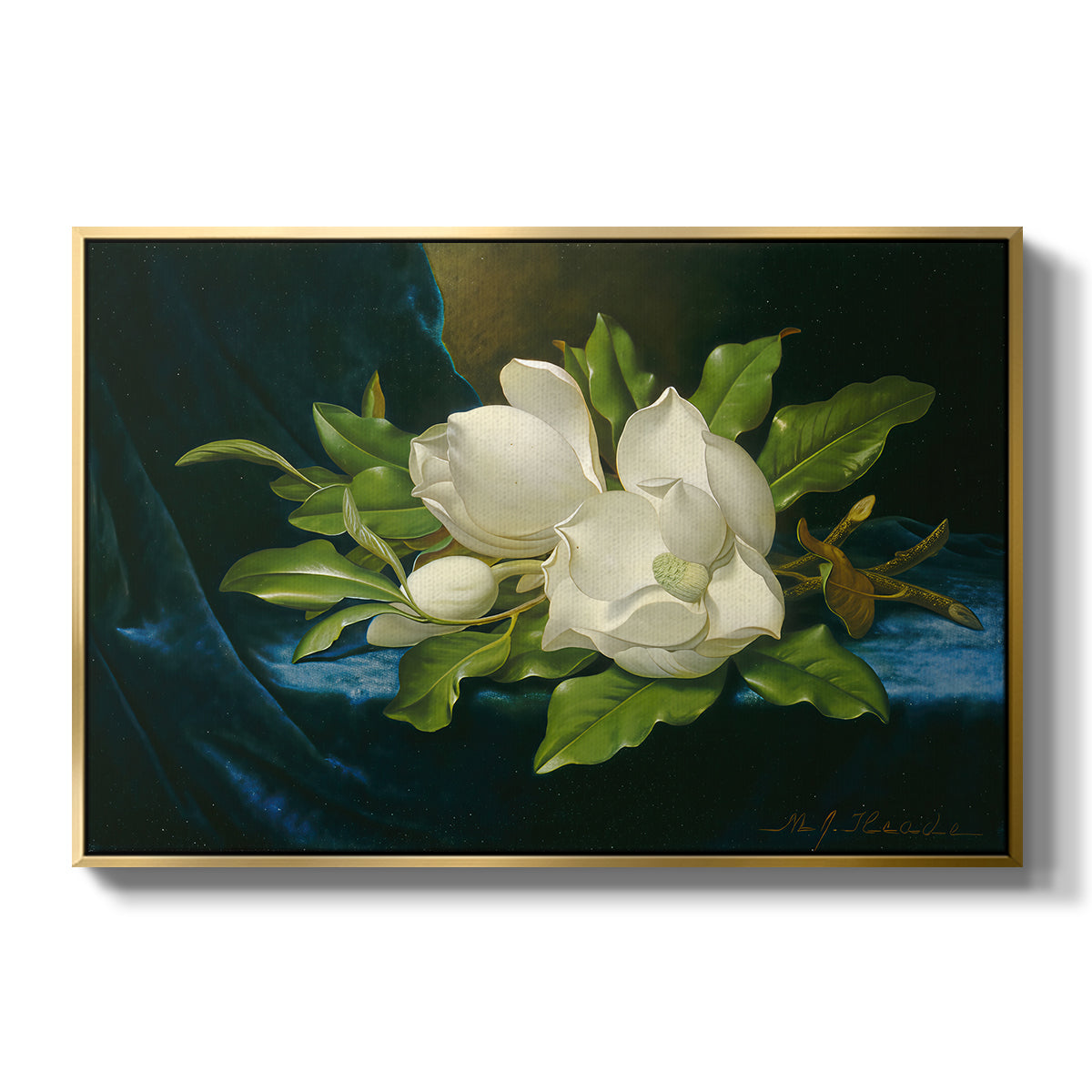 Giant Magnolias on a Blue Velvet Cloth, c. 1890 - Floater Framed Canvas Print