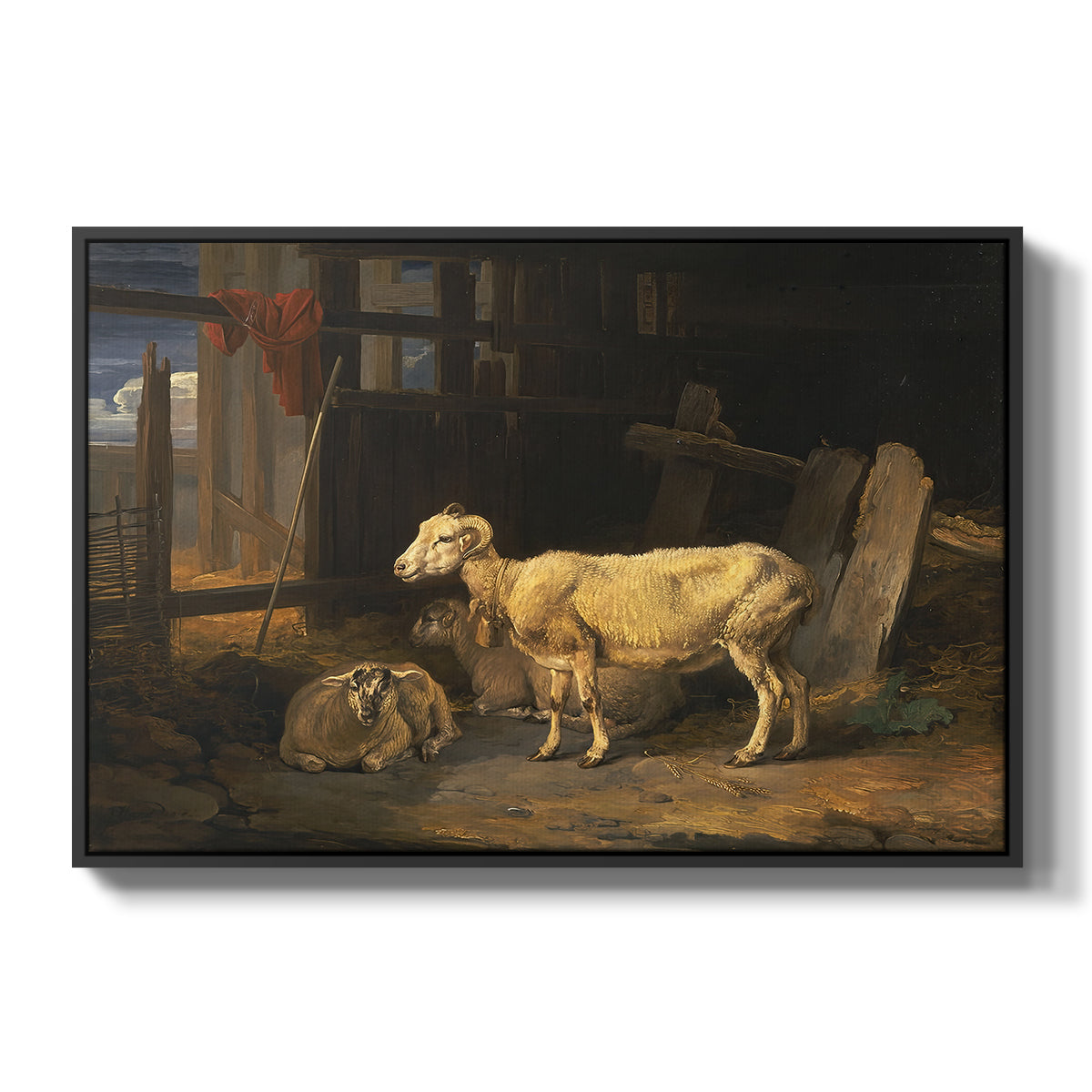 Sheep in a Stable, 1810 - Floater Framed Canvas Print