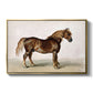 A Cart-Horse - Floater Framed Canvas Print