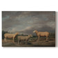 Canvas art print portraying a group of sheep standing together in open pasture, set against a white background